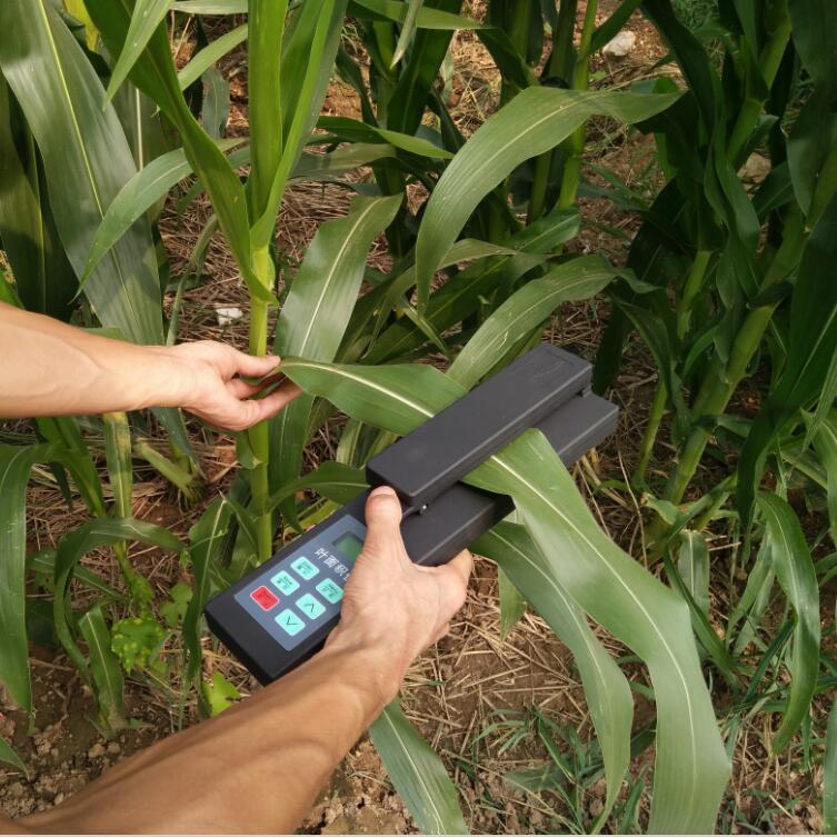 葉面積測定儀走進我們的農業種植當中
