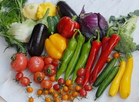 果蔬呼吸測定儀 果蔬呼吸測定儀