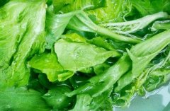 葉綠素測定儀推動數(shù)字化生態(tài)農業(yè)發(fā)展